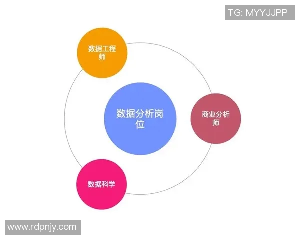 上海乒乓球队个人能力表现的数据分析与综合评估研究