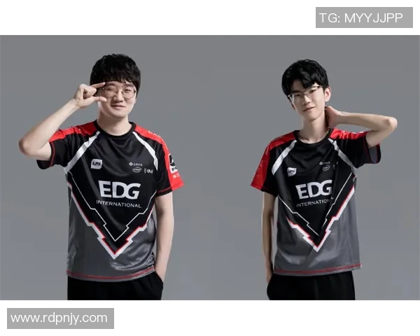 和平精英专题深度解析EDG战队的战术节奏与团队协作技巧